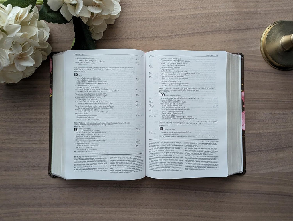 Biblia De Estudio Del Diario Vivir NTV (Sentipiel, Café/Rosa, Letra Roja) (Spanish Edition)