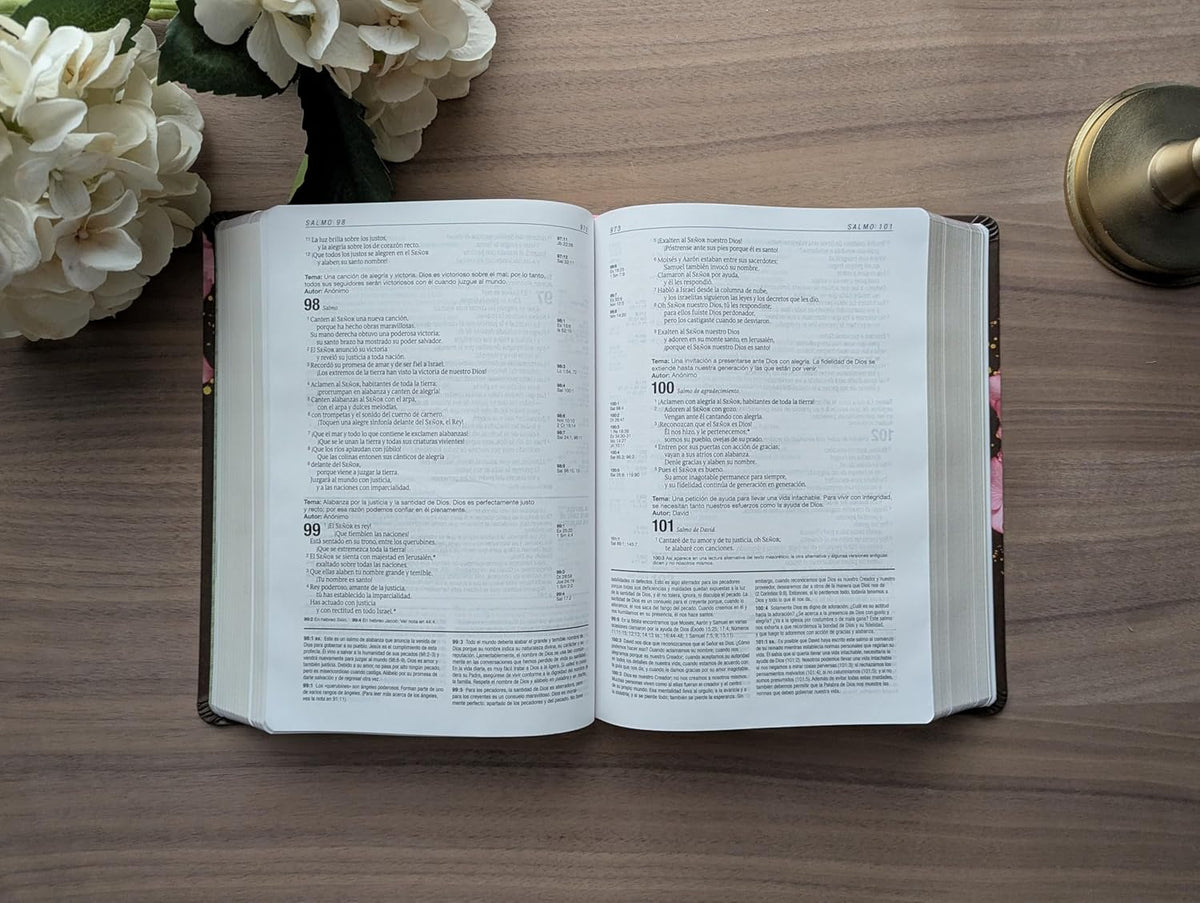 Biblia De Estudio Del Diario Vivir NTV (Sentipiel, Café/Rosa, Letra Roja) (Spanish Edition)