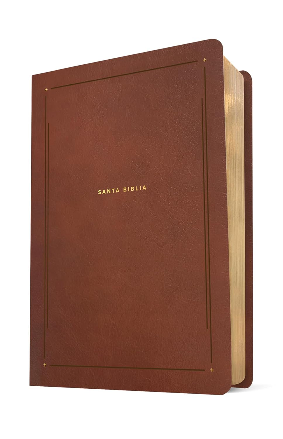 Biblia De Estudio Del Diario Vivir NTV (Sentipiel, Café, Letra Roja) (Spanish Edition)