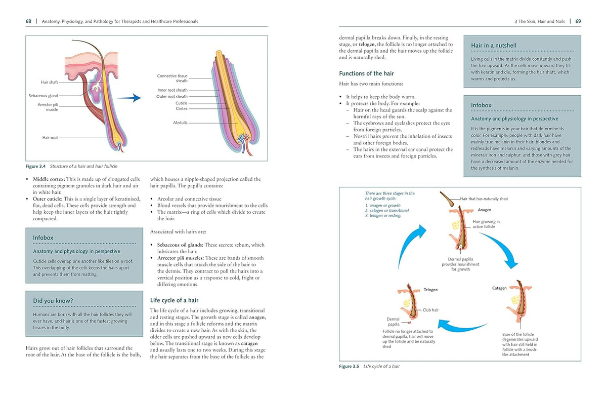 Human anatomy and physiology reference with full-colour visual aids