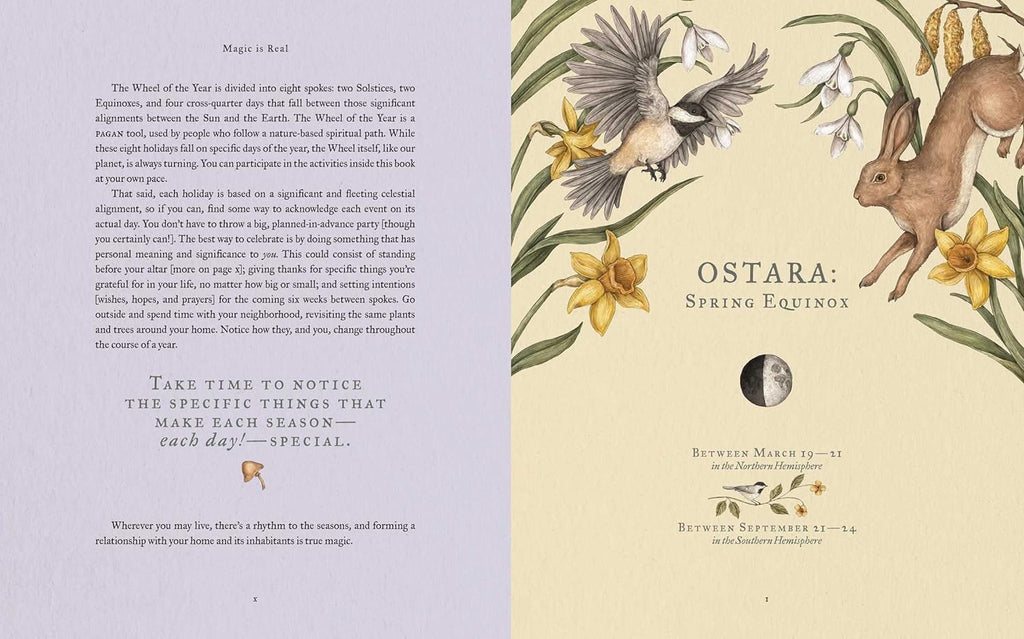 The Wheel of the Year: an Illustrated Guide to Nature'S Rhythms