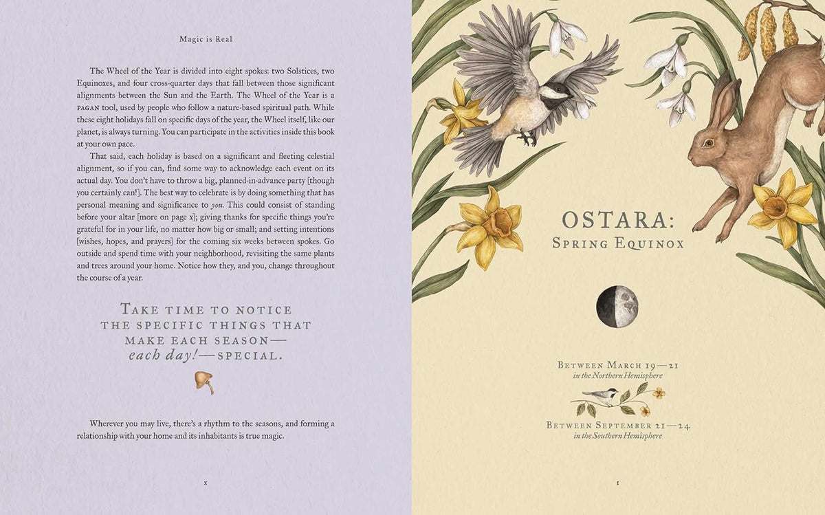 The Wheel of the Year: an Illustrated Guide to Nature'S Rhythms