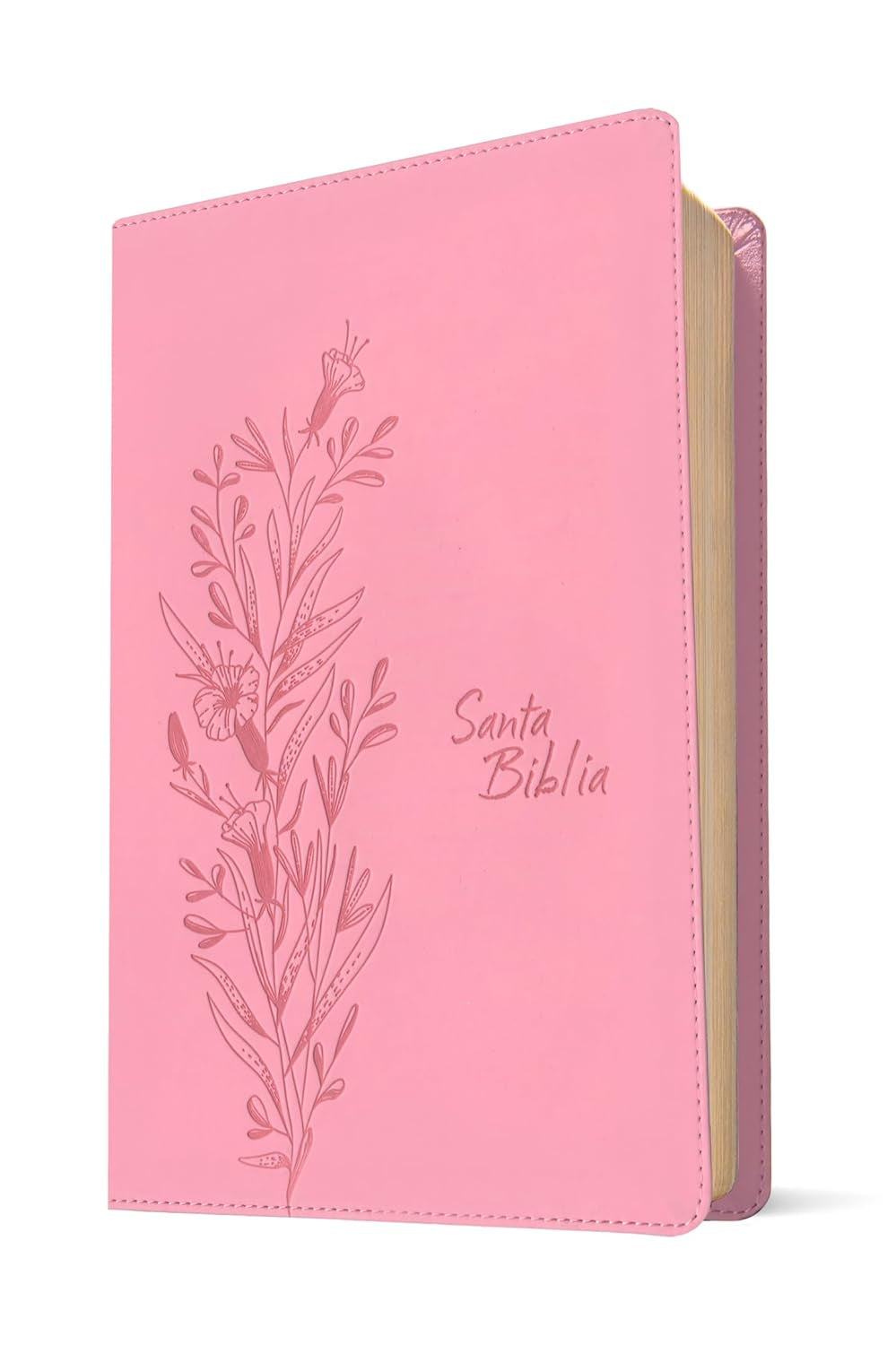 Biblia De Referencia En La Columna Central NTV, Letra Grande Con Filament (Sentipiel, Rosa, Letra Roja) (Spanish Edition)