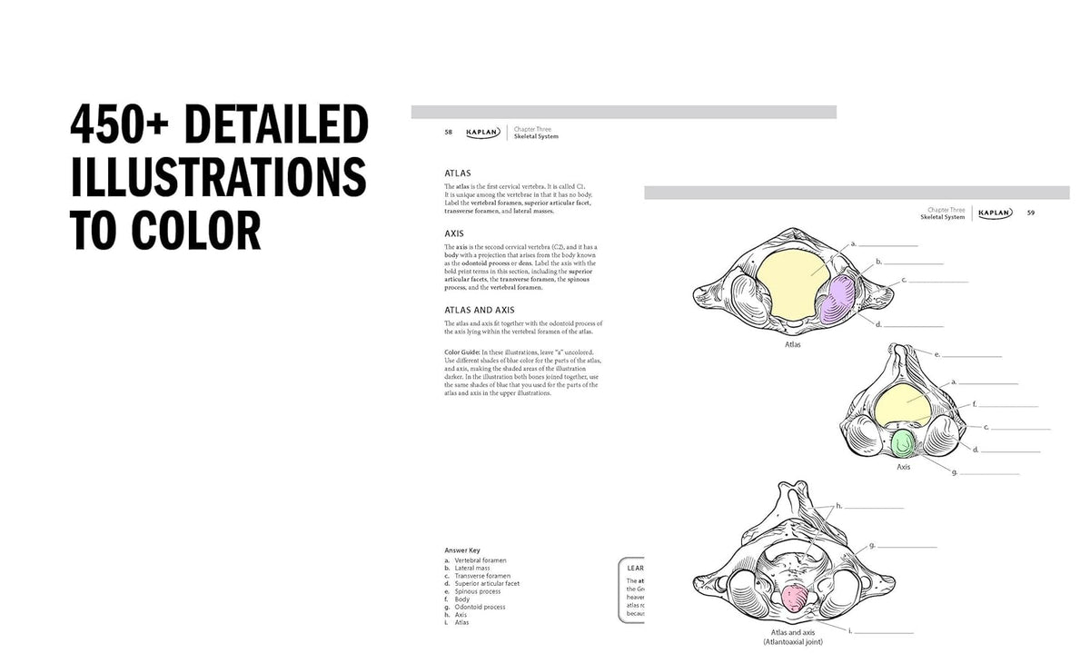 Anatomy coloring book with a quiz accompanying each medical illustration