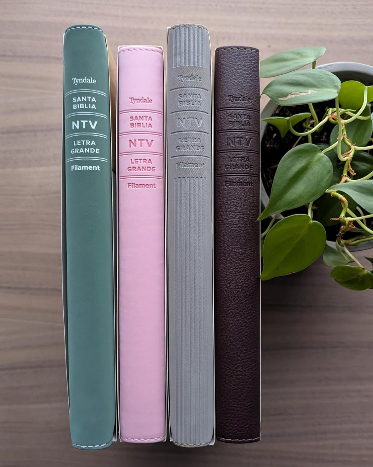 Biblia De Referencia En La Columna Central NTV, Letra Grande Con Filament (Sentipiel, Café, Letra Roja) (Spanish Edition)