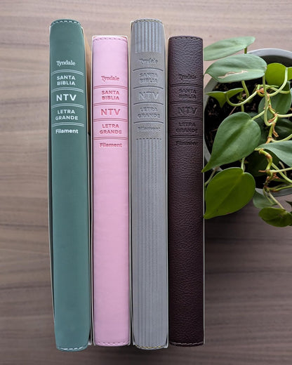 Biblia De Referencia En La Columna Central NTV, Letra Grande Con Filament (Sentipiel, Café, Letra Roja) (Spanish Edition)