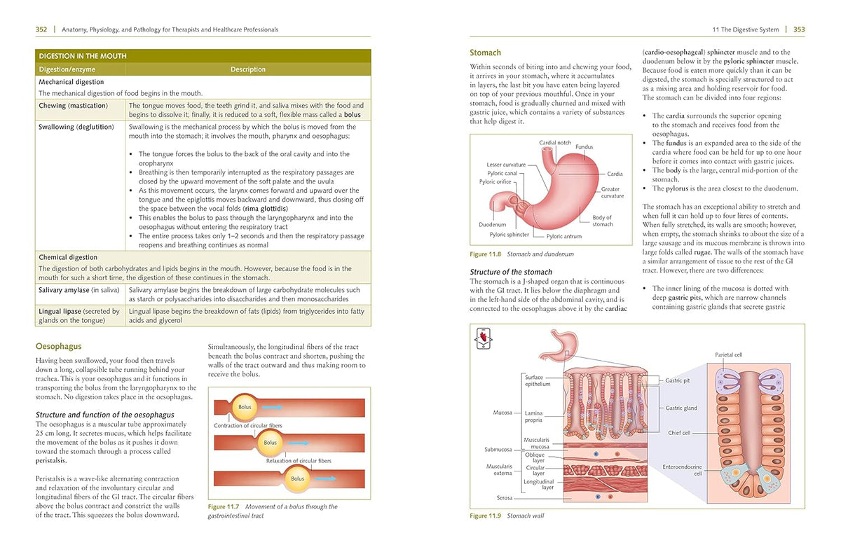 Third edition anatomy, physiology and pathology study guide