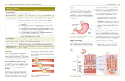 Third edition anatomy, physiology and pathology study guide