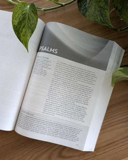 NLT Life Recovery Bible, Second Edition (Softcover): Addiction Bible Tied to 12 Steps of Recovery for Help with Drugs, Alcohol, Personal Struggles – with Meeting Guide