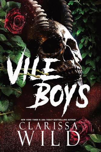 Vile Boys book cover
