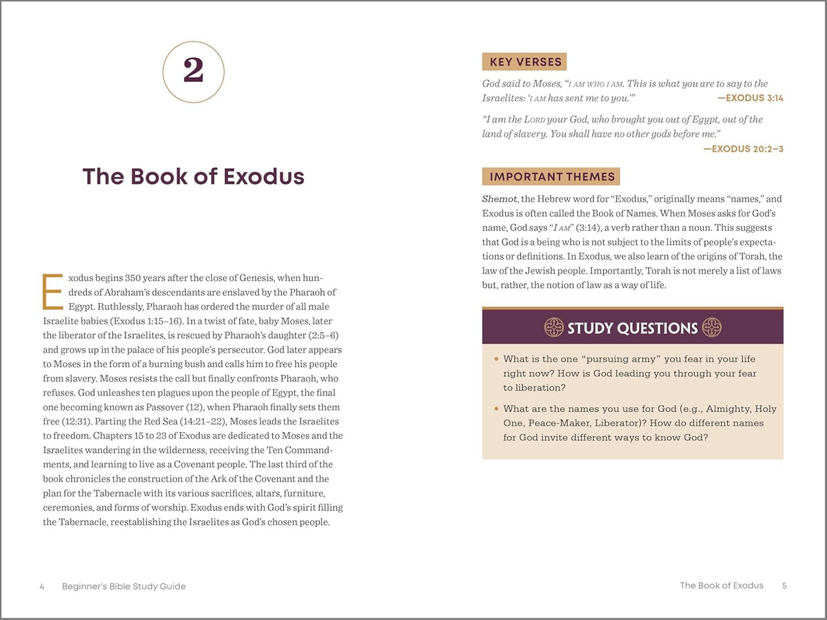 The Beginner'S Bible Study Guide: an Introduction to All 66 Books of the Bible