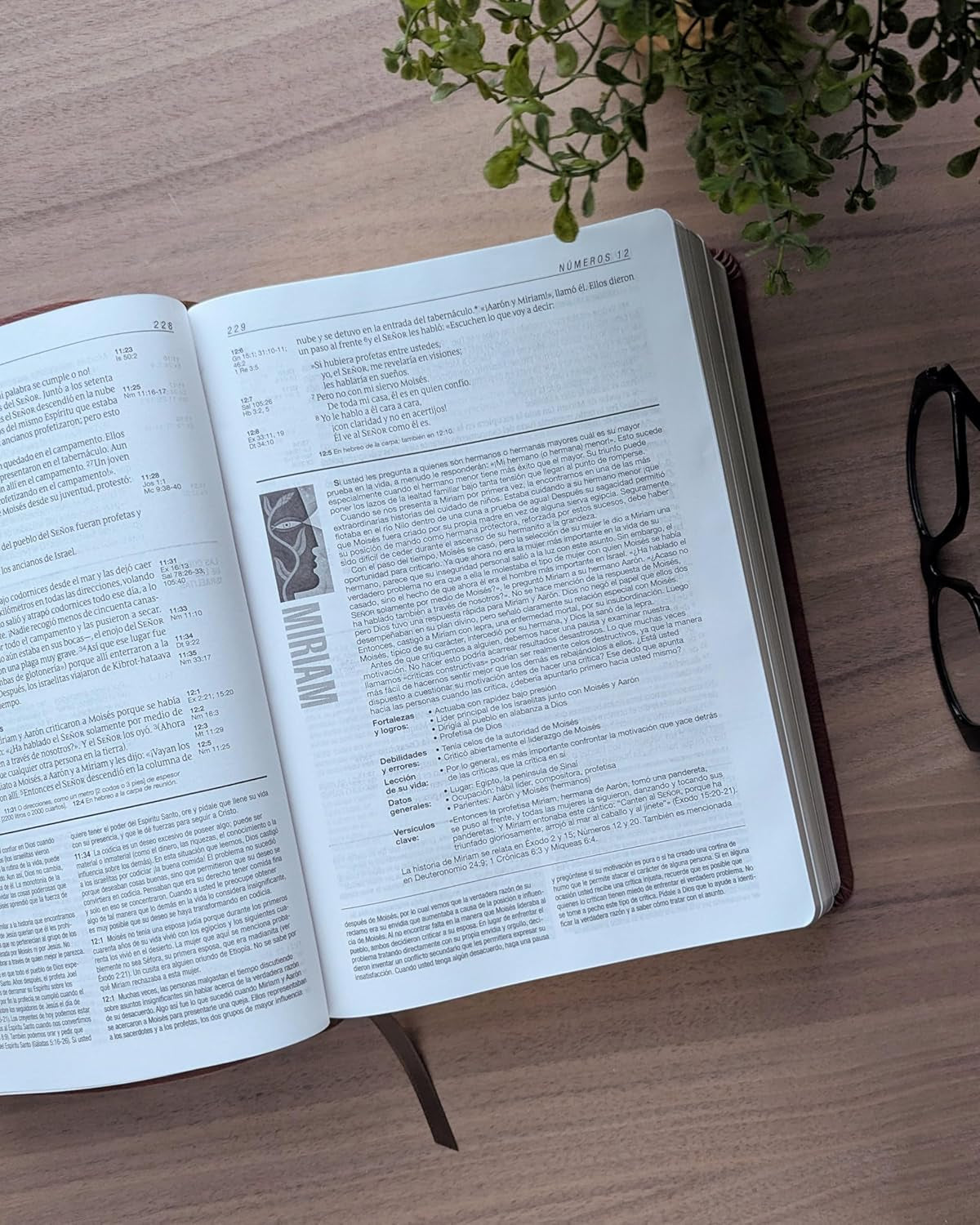 Biblia De Estudio Del Diario Vivir NTV (Sentipiel, Café, Letra Roja) (Spanish Edition)