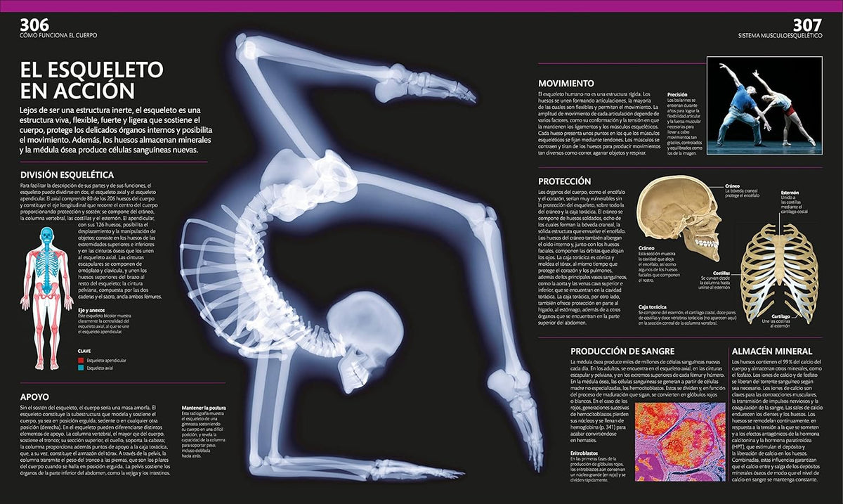 Libro de referencia sobre anatomía y fisiología humana en español