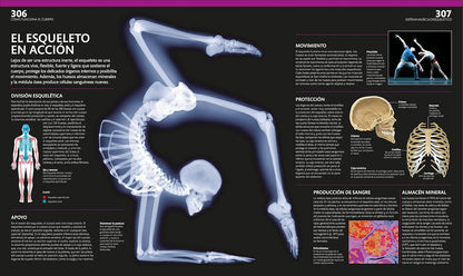 Libro de referencia sobre anatomía y fisiología humana en español