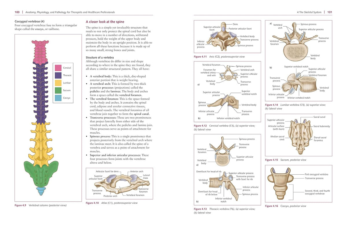 Anatomy and pathology guide written for students and practitioners