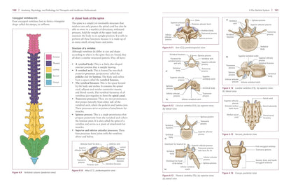 Anatomy and pathology guide written for students and practitioners