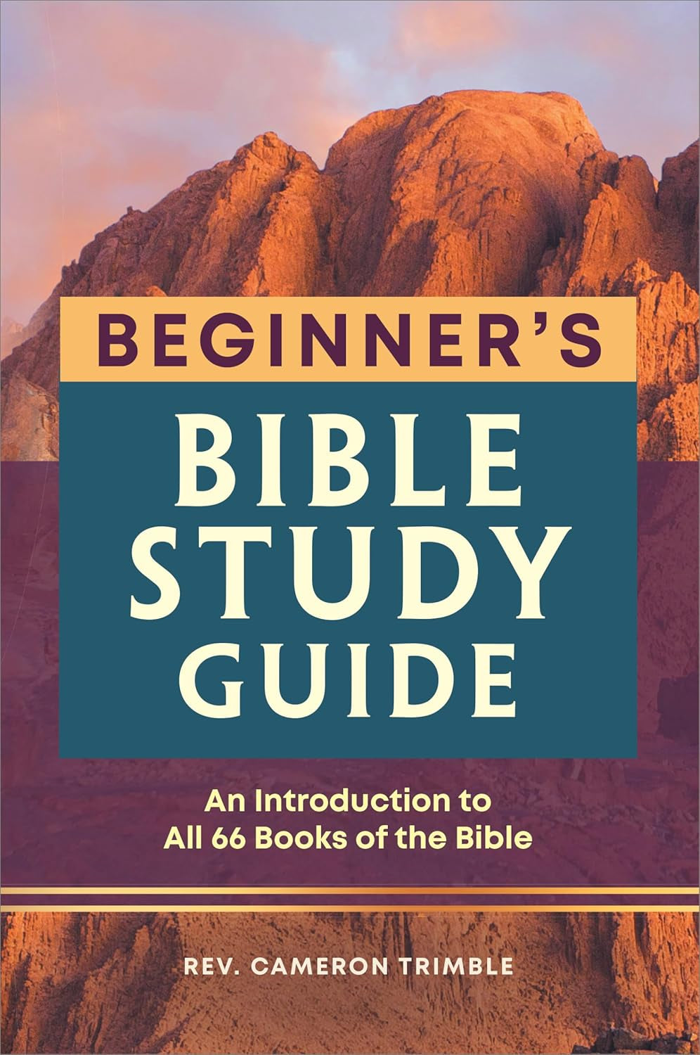 The Beginner'S Bible Study Guide: an Introduction to All 66 Books of the Bible