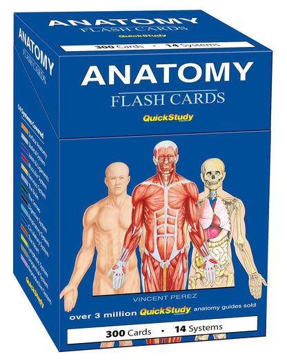 Inside the QuickStudy anatomy card deck