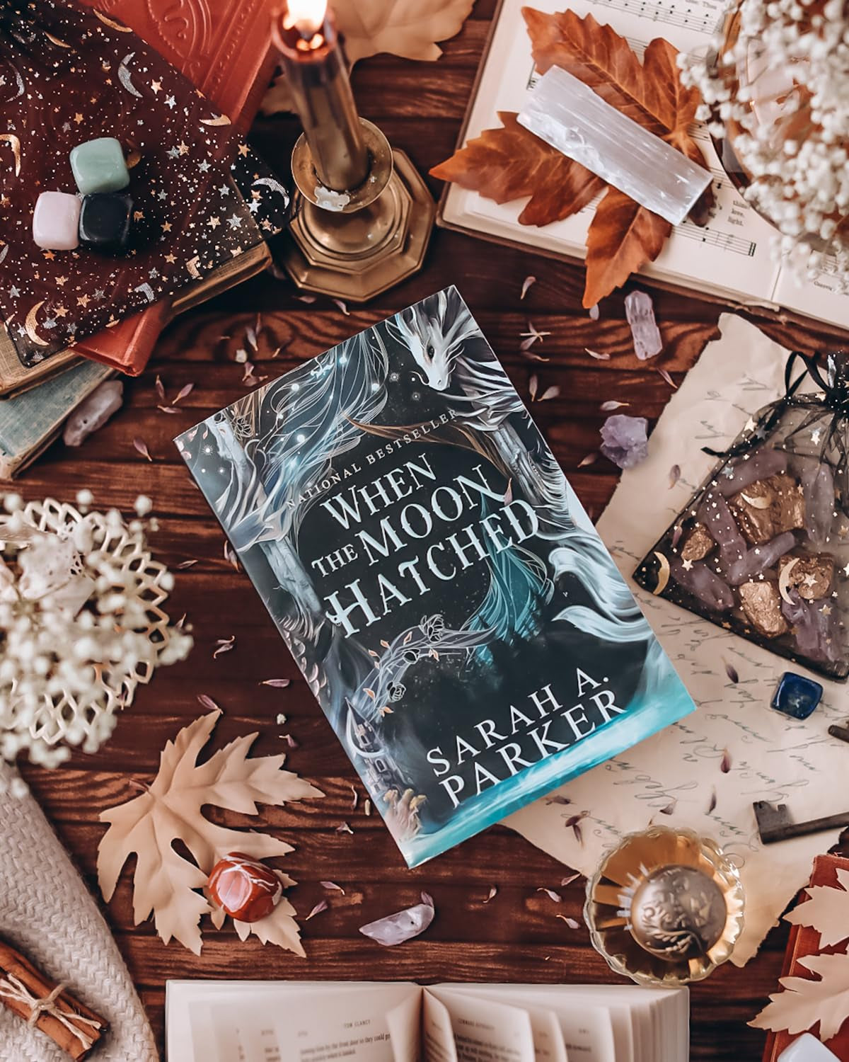 When the Moon Hatched: a Fast-Paced Romantasy with Undeniable Chemistry in a Stunning Immersive World (The Moonfall Series, 1)