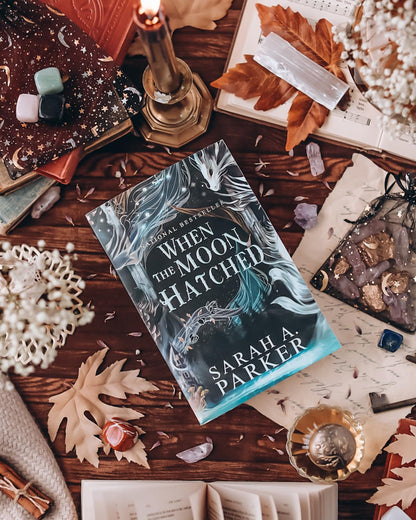 When the Moon Hatched: a Fast-Paced Romantasy with Undeniable Chemistry in a Stunning Immersive World (The Moonfall Series, 1)