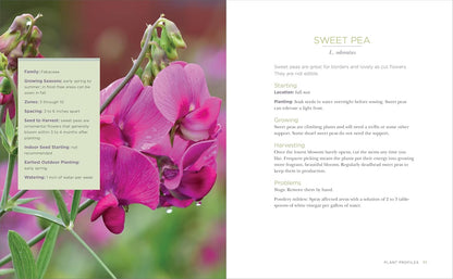 Raised-Bed Gardening for Beginners: Your Guide to Growing Sustainability and Self-Sufficiency