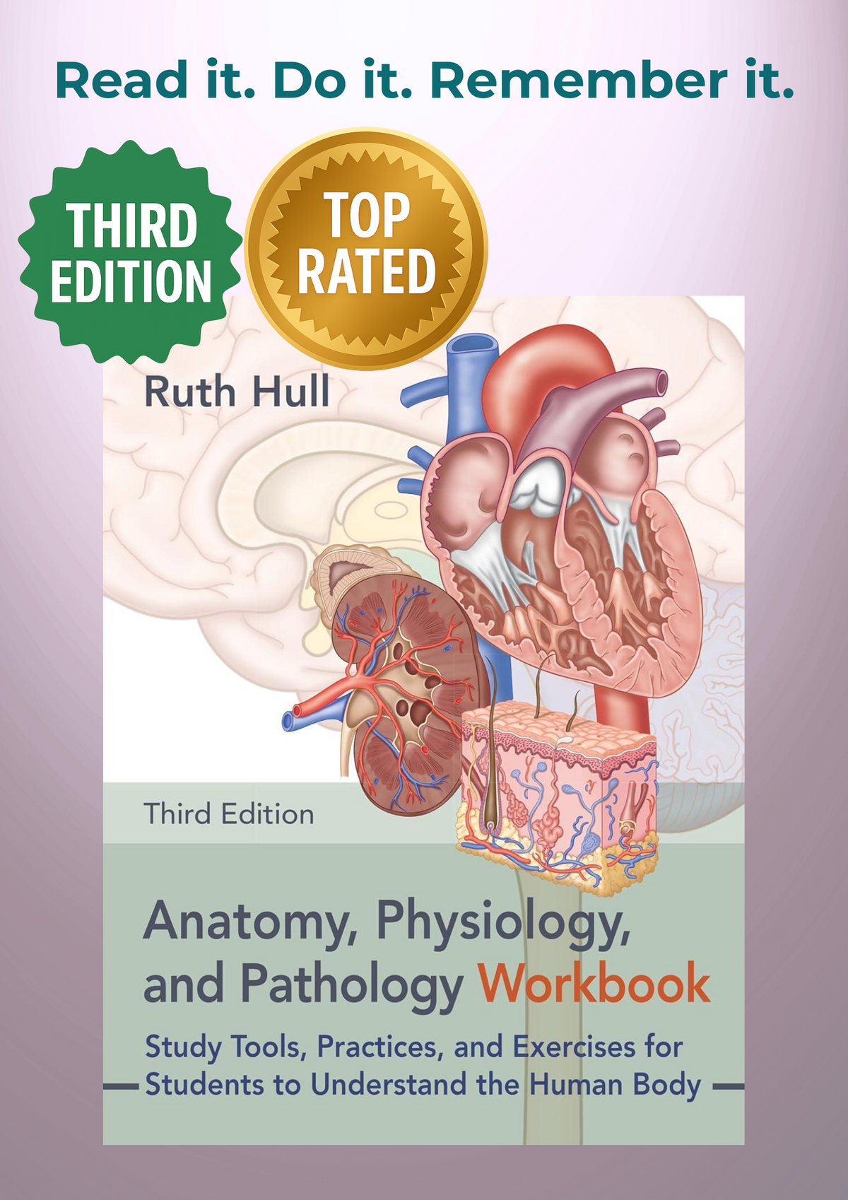 Anatomy, Physiology, and Pathology Workbook, Third Edition — study guide for the human body