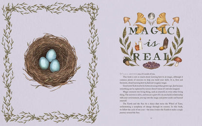 The Wheel of the Year: an Illustrated Guide to Nature'S Rhythms