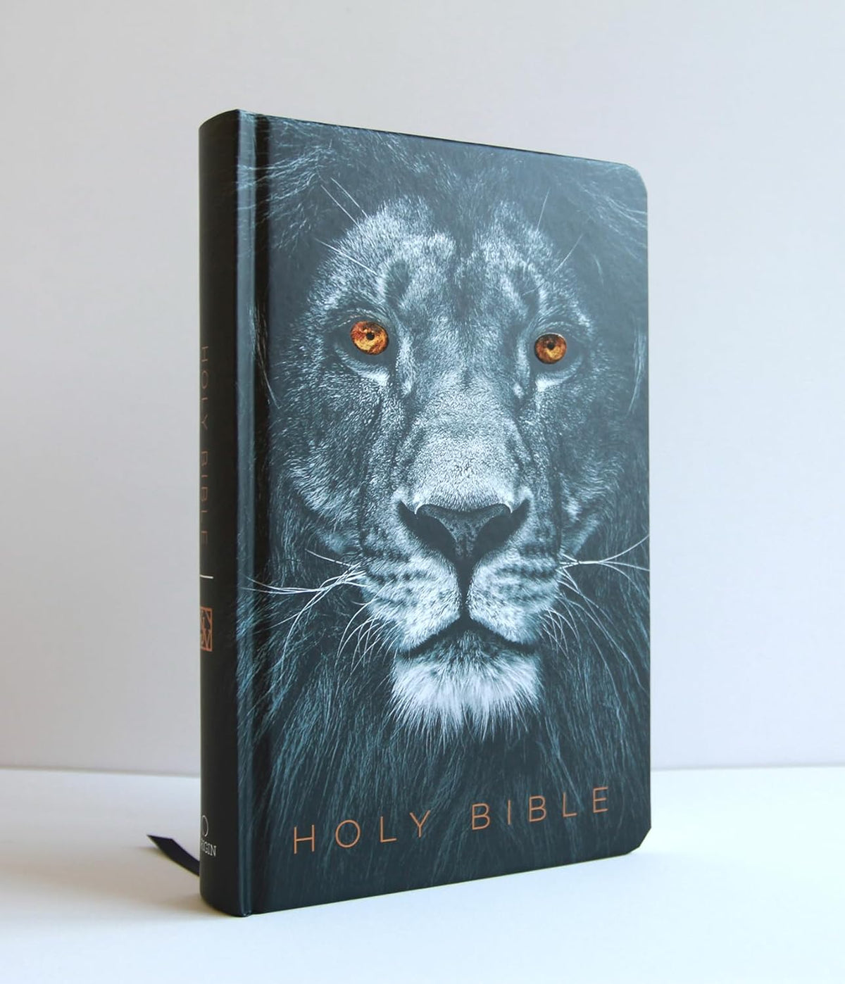KJV large print Bible sized to carry to church or study group
