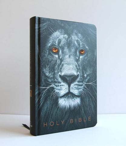 KJV large print Bible sized to carry to church or study group
