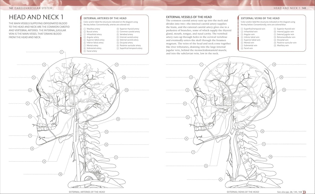The Human Body Coloring Book: the Ultimate Anatomy Study Guide, Second Edition (DK Human Body Guides)