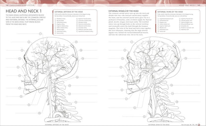 The Human Body Coloring Book: the Ultimate Anatomy Study Guide, Second Edition (DK Human Body Guides)