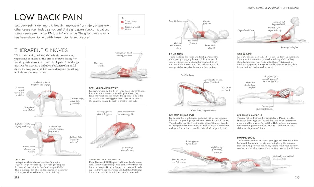 Science of Yoga: Understand the Anatomy and Physiology to Perfect Your Practice (DK Science Of)