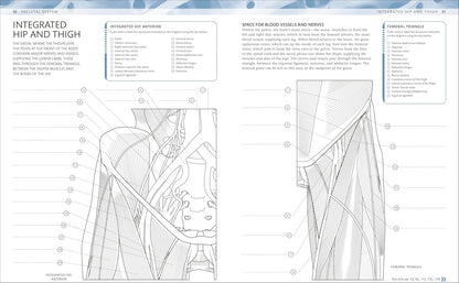 The Human Body Coloring Book by DK — the ultimate anatomy study guide, second edition