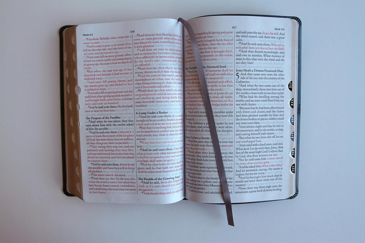 KJV Holy Bible, Large Print Medium Format, Gray Faux Leather with Ribbon Marker, Red Letter, Thumb Index (KJV Medium Size Large Print Editions)