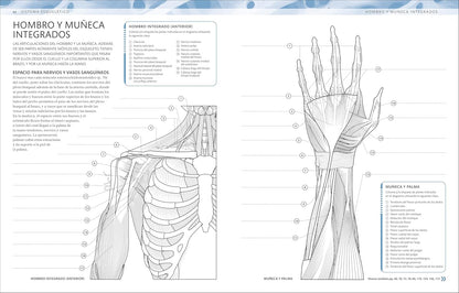 Atlas De Anatomía Para Colorear (The Human Body Coloring Book): Guía De Estudio (Spanish Edition)