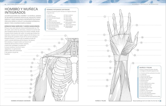 Atlas De Anatomía Para Colorear (The Human Body Coloring Book): Guía De Estudio (Spanish Edition)