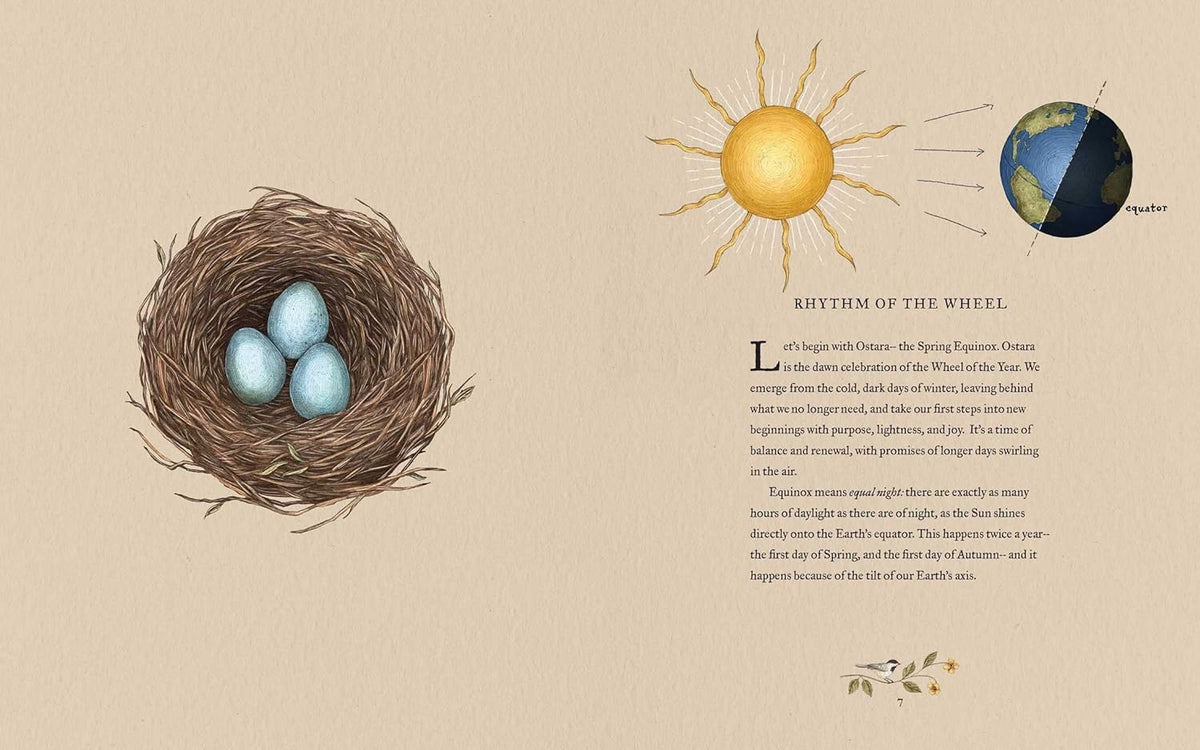 The Wheel of the Year: an Illustrated Guide to Nature'S Rhythms