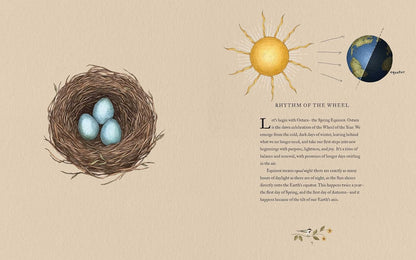 The Wheel of the Year: an Illustrated Guide to Nature'S Rhythms