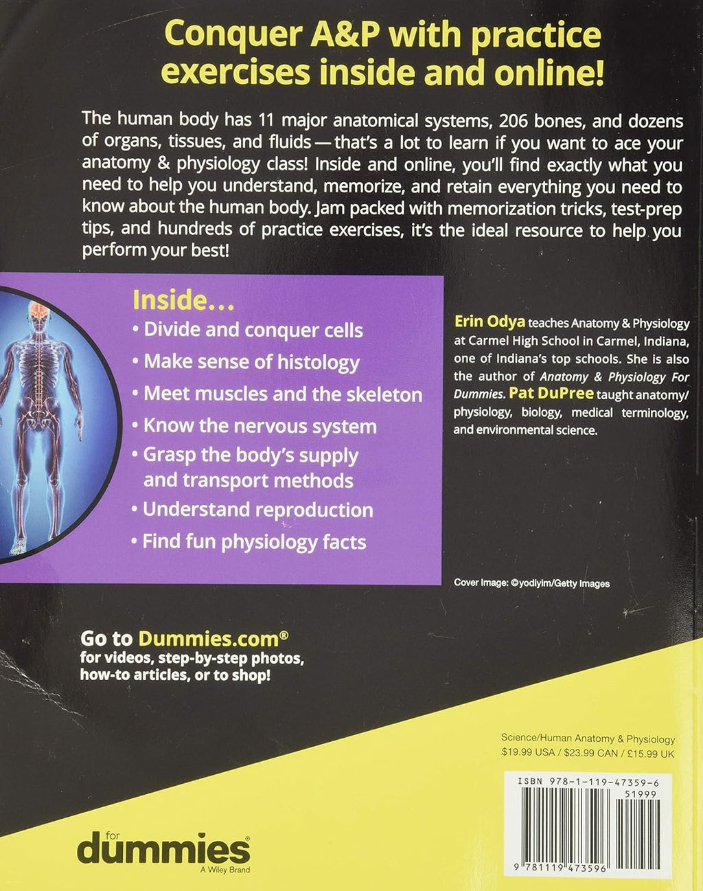 Anatomy & Physiology Workbook for Dummies with Online Practice