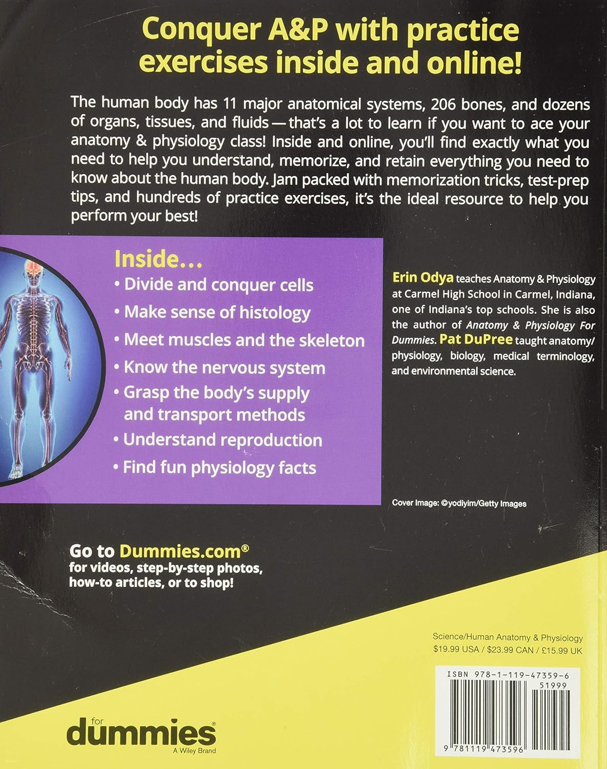 Anatomy & Physiology Workbook for Dummies with Online Practice