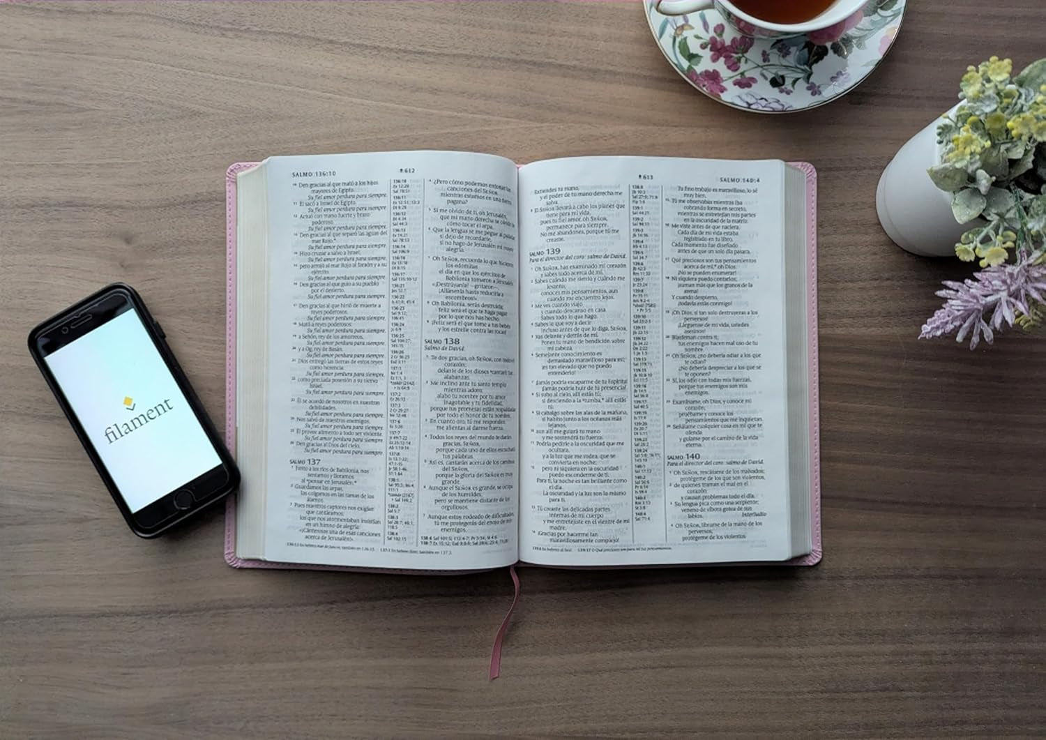 Biblia De Referencia En La Columna Central NTV, Letra Grande Con Filament (Sentipiel, Rosa, Letra Roja) (Spanish Edition)