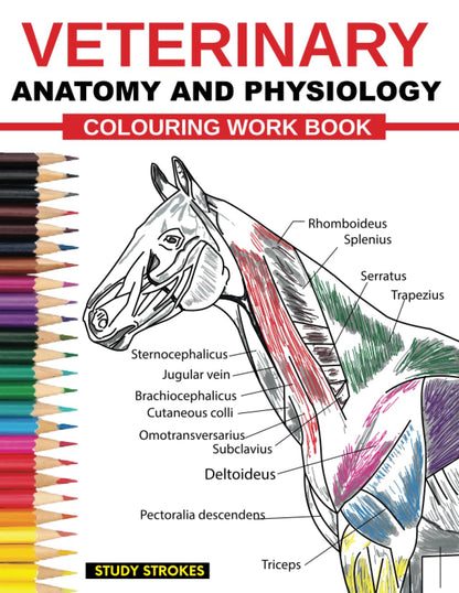 Veterinary Anatomy and Physiology Coloring Workbook