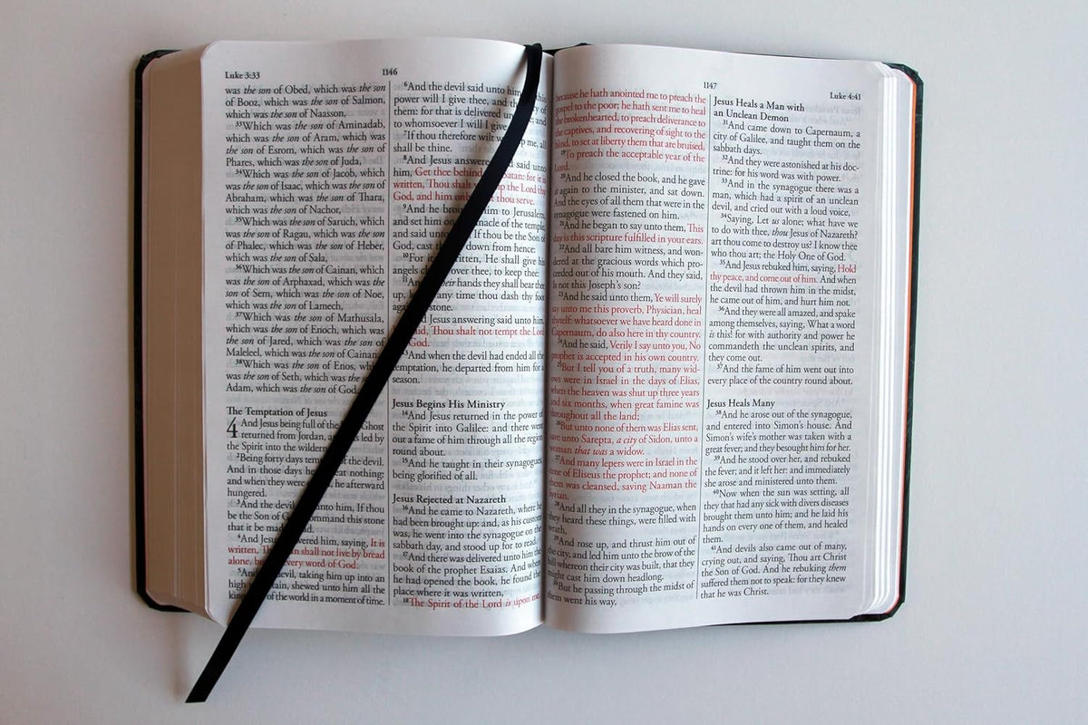 Hardcover King James Bible with Lion of Judah cover artwork