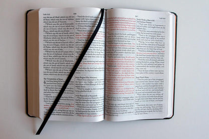 Hardcover King James Bible with Lion of Judah cover artwork