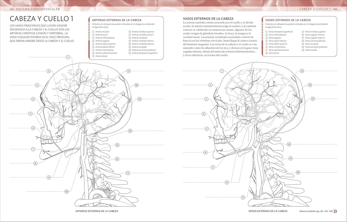 Atlas De Anatomía Para Colorear (The Human Body Coloring Book): Guía De Estudio (Spanish Edition)