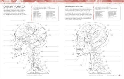 Atlas De Anatomía Para Colorear (The Human Body Coloring Book): Guía De Estudio (Spanish Edition)