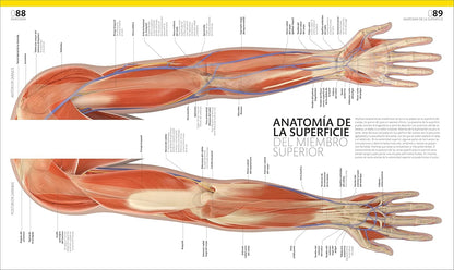Libro ilustrado de anatomía humana en español, edición DK