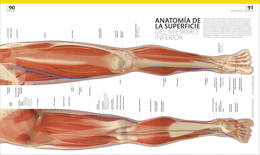 El Gran Libro Del Cuerpo Humano (The Complete Human Body) (Spanish Edition)