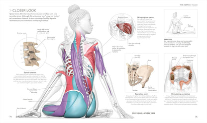 Science of Yoga: Understand the Anatomy and Physiology to Perfect Your Practice (DK Science Of)