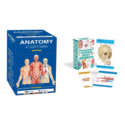Anatomy Double Deck – DK Visual Learning Flash Cards + QuickStudy Anatomy Flash Cards | 2-Deck Study Set
